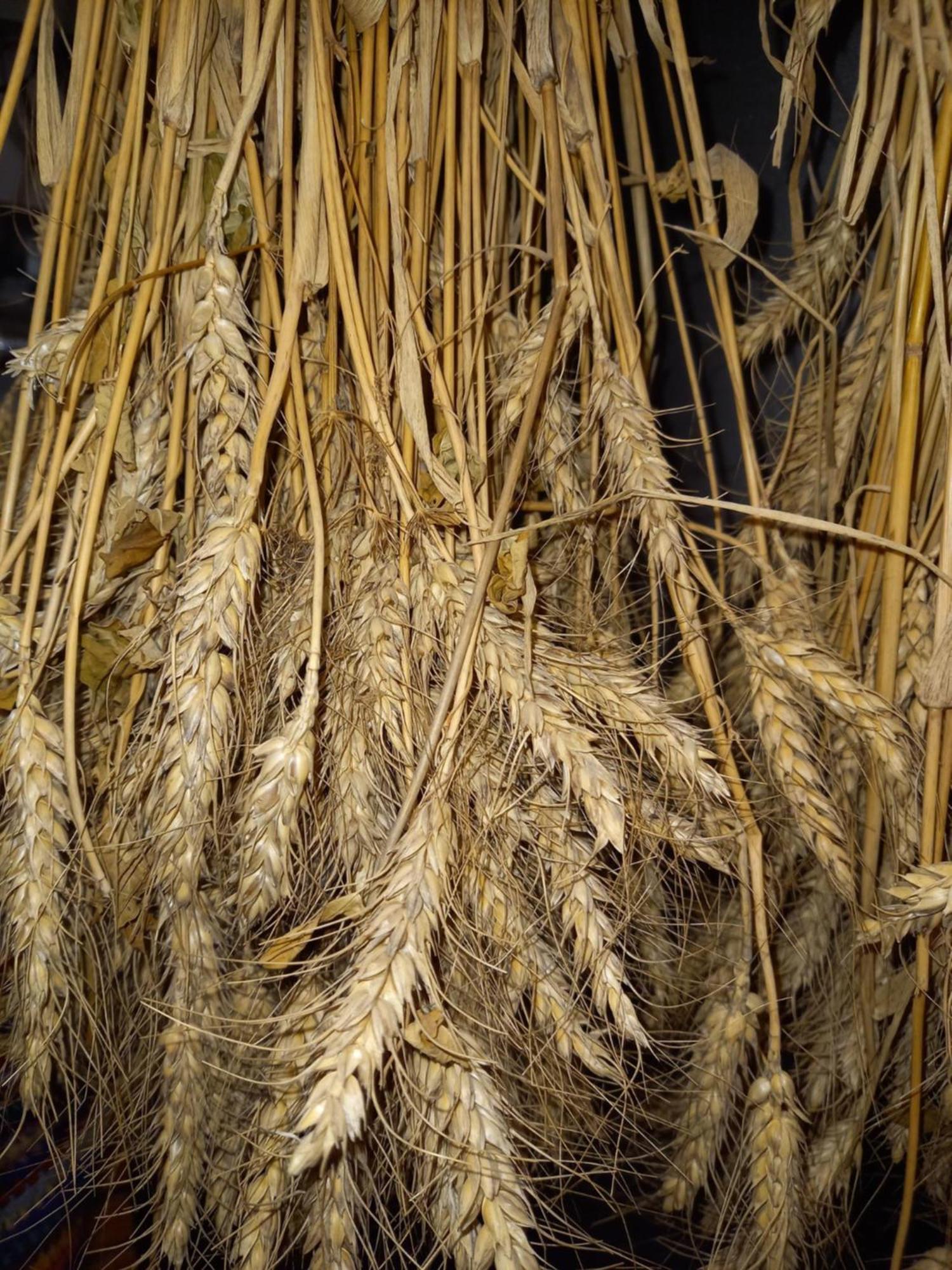 Fruehstueckspension Muellergut Sankt Martin bei Lofer Ngoại thất bức ảnh